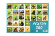 Teddies Pexeso - safari ZOO - papírové - 32 obrázkových dvojic