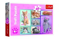 Trefl Puzzle - Roztomilé kočky - 60 dílků