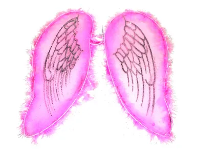 Wiky Křídla andělská - 45 x 44 cm - karnevalový doplněk