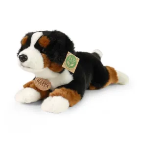 Rappa Plyšový BERNSKÝ SALAŠNICKÝ PES ležící - 30 cm - ECO-FRIENDLY