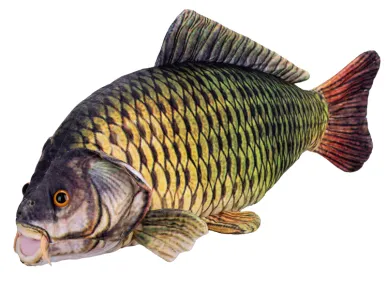 Mikro trading Kapr plyšový - 52 cm