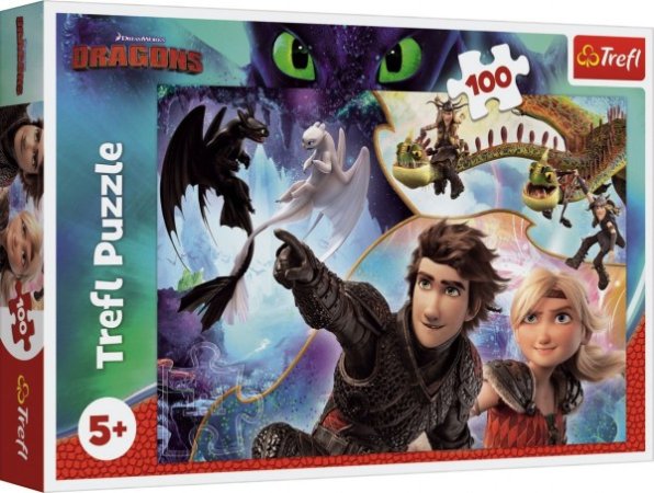 Trefl Puzzle - Jak vycvičit draka - 100 dílků