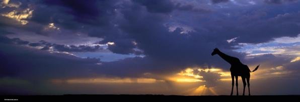 Heye Puzzle panoramatické - Západ slunce (Sunset) - 1000 dílků