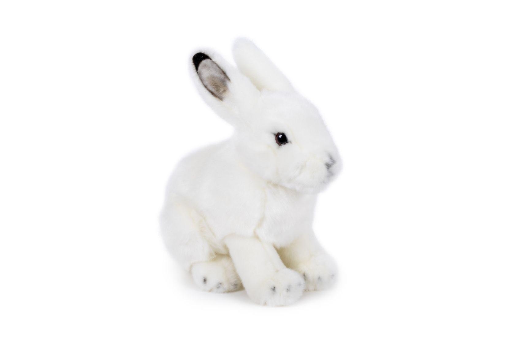 Levně Teddies Zajíc plyšový velký - 19 x 19 cm - sněžný